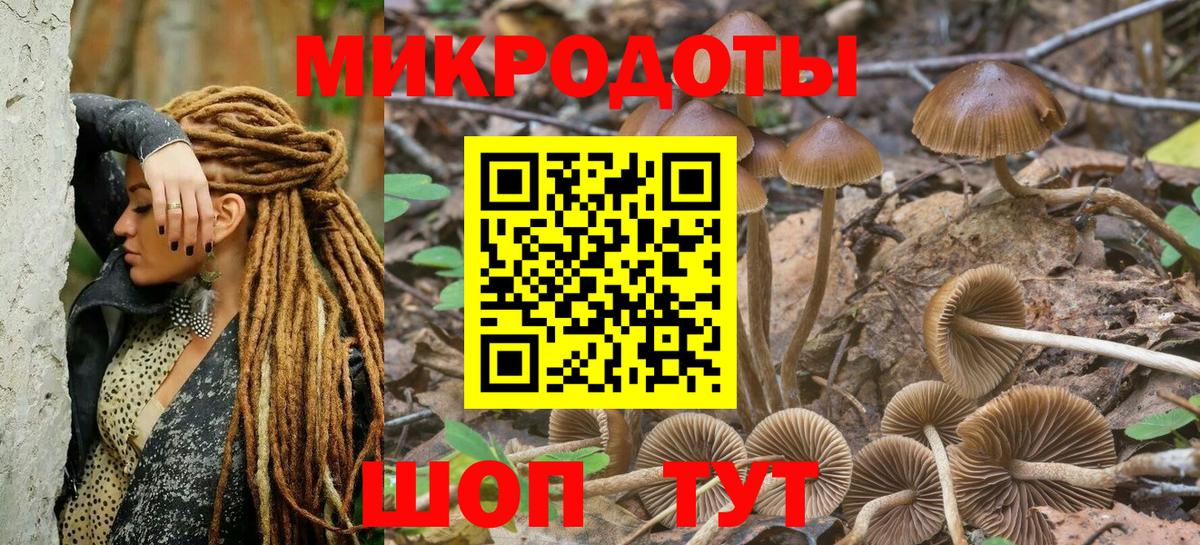 Галлюциногенные грибы Magic Shrooms Самара